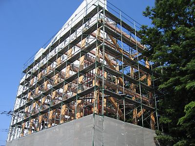 IMG_2239.jpg
