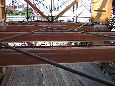 IMG_2472.jpg