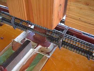 IMG_2556.jpg