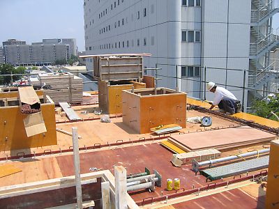 IMG_2596.jpg