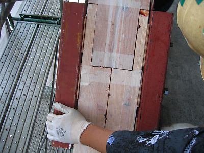 IMG_2717.jpg