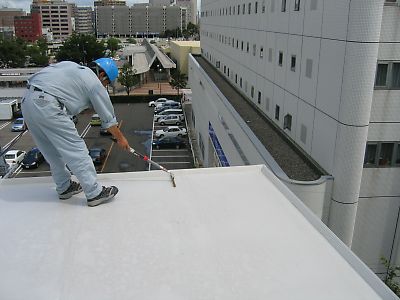 IMG_3144.jpg