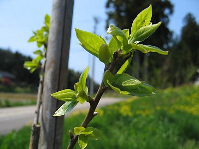img_2100.jpg