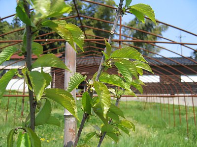 img_2101.jpg