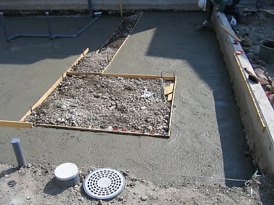 IMG_3969.jpg