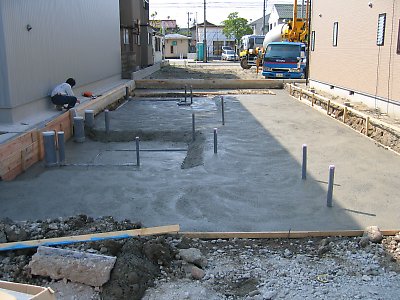 IMG_3972.jpg