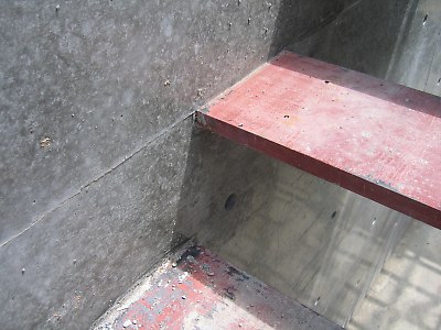 IMG_4465.jpg