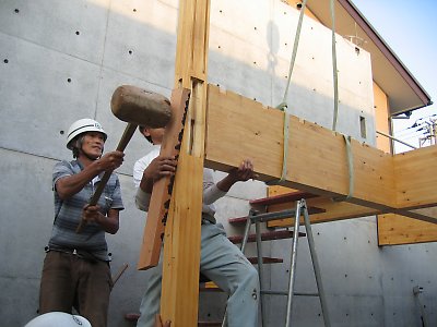 IMG_4645.jpg