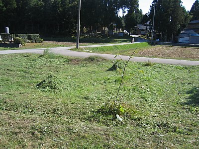 IMG_5146.jpg