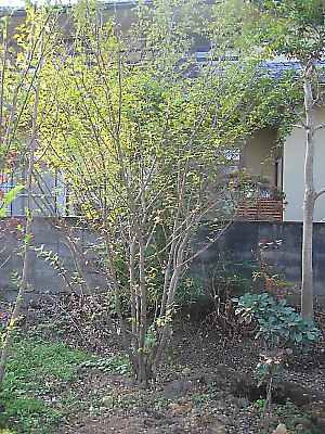 IMG_5346.jpg