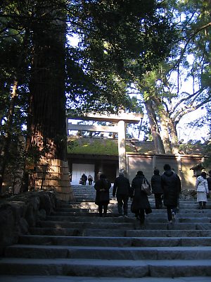IMG_6156.jpg