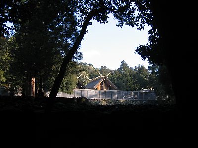 IMG_6161.jpg