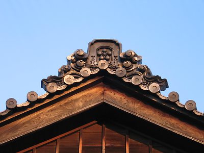 IMG_6192.jpg