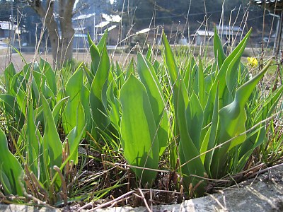 IMG_6199.jpg