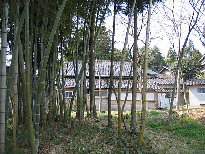 IMG_6202.jpg