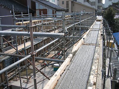 IMG_7538.jpg