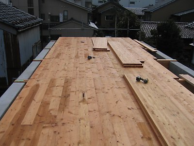 IMG_7581.jpg