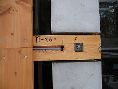 IMG_7585.jpg