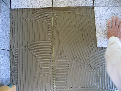 IMG_8236.jpg