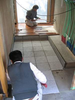 IMG_8239.jpg