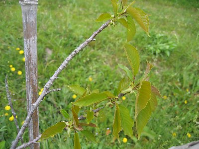 IMG_8312.jpg