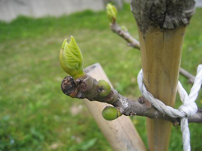 IMG_8314.jpg