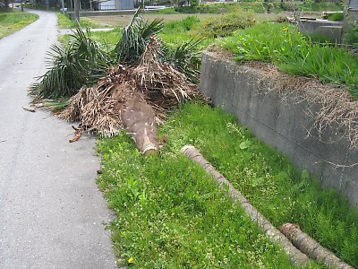 IMG_8336.jpg