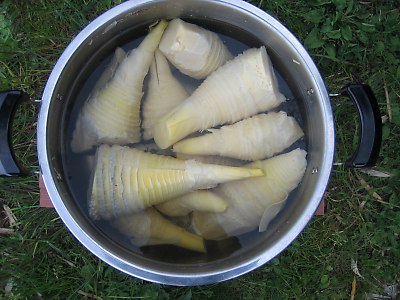 IMG_8344.jpg