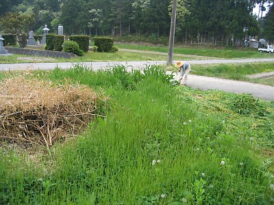 IMG_8495.jpg
