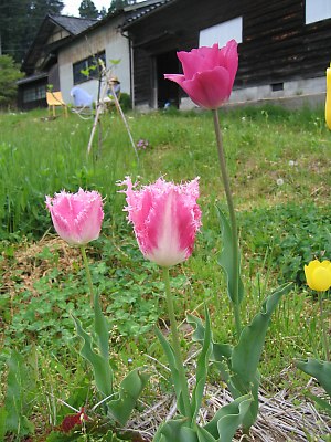 IMG_8500.jpg