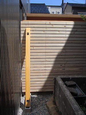 IMG_8644.jpg