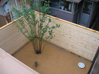 IMG_8721.jpg