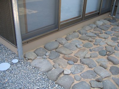 IMG_8870.jpg