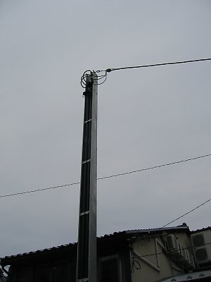 IMG_8892.jpg