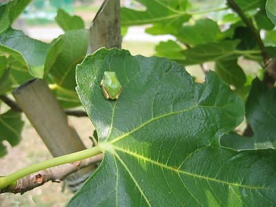 IMG_9087.jpg