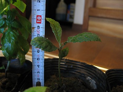 IMG_9220.jpg