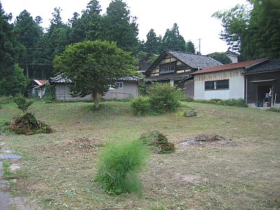IMG_9239.jpg