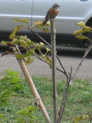 IMG_9299.jpg