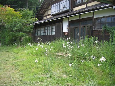 IMG_9301.jpg