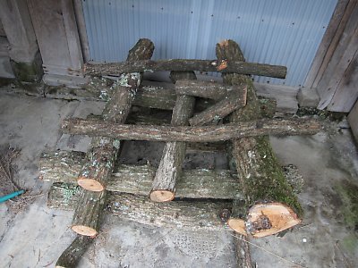 IMG_0330.jpg