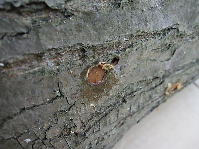 IMG_0378.jpg