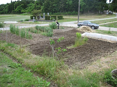 IMG_0619.jpg