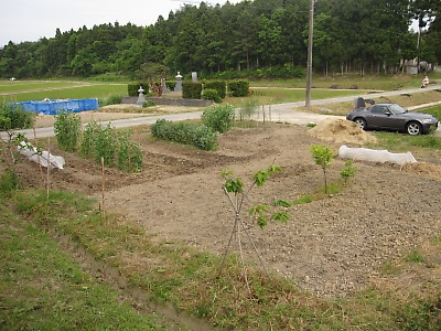 IMG_0669.jpg