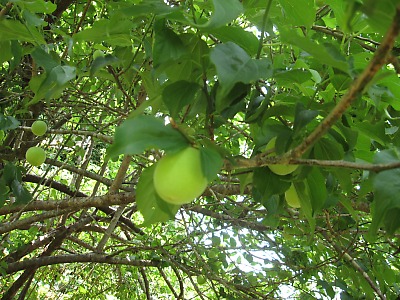 IMG_0784.jpg