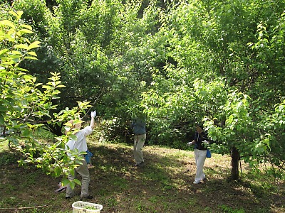 IMG_0785.jpg