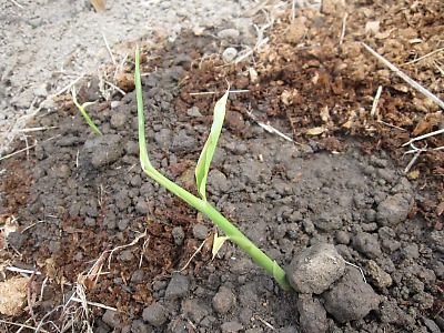 IMG_0869.jpg