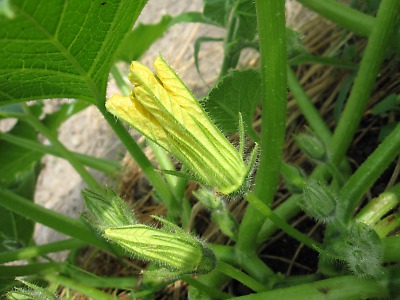 IMG_0875.jpg