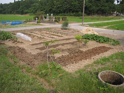 IMG_0956.jpg