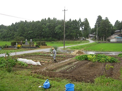 IMG_0977.jpg