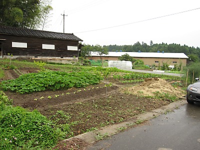 IMG_1067.jpg